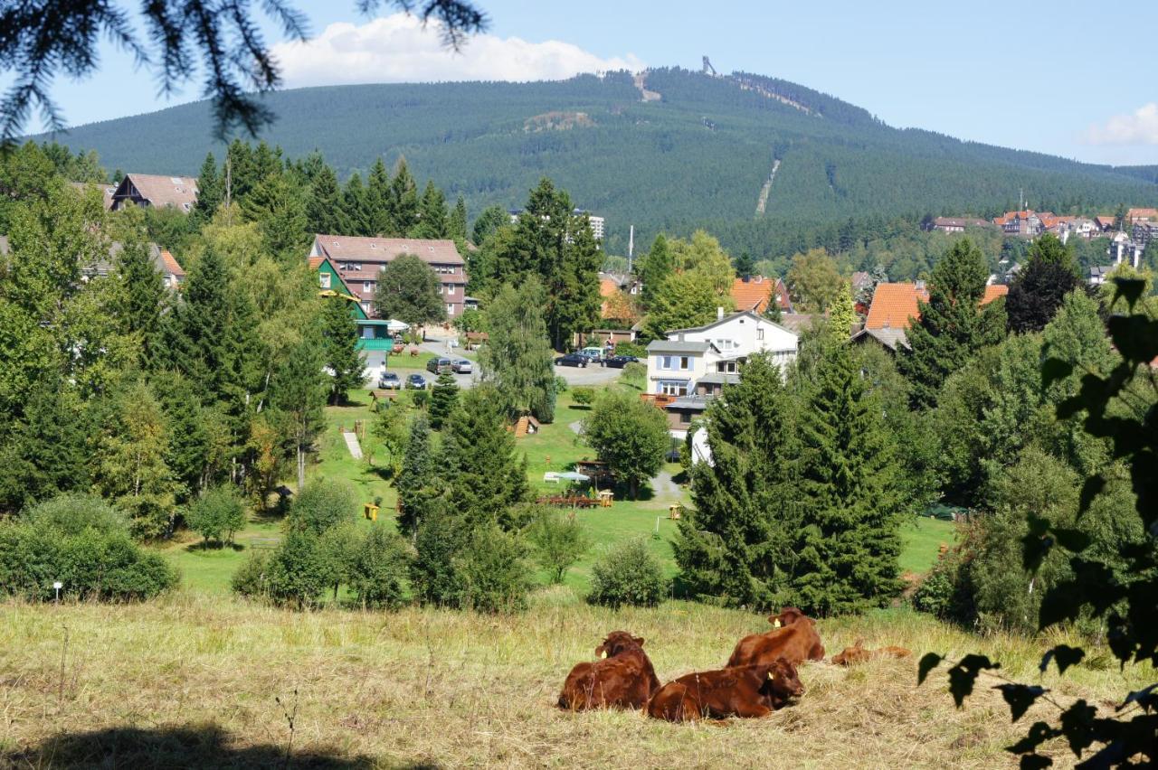 Villa Am Paulsberg เบราน์ลาเกอ ภายนอก รูปภาพ